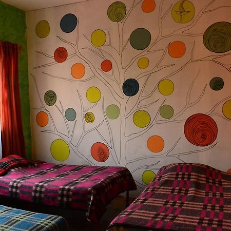 Chill Hostel Mexico by Rom bilde